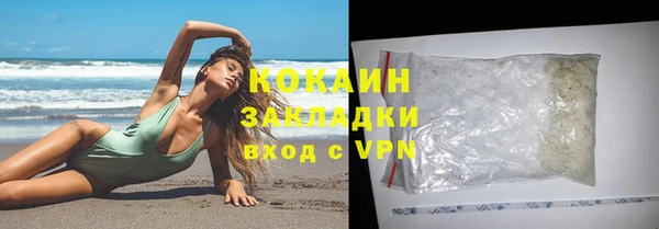 индика Покачи