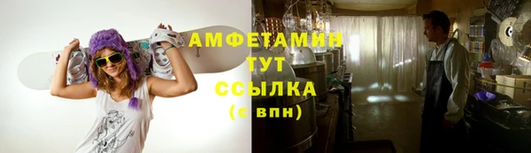 индика Покачи